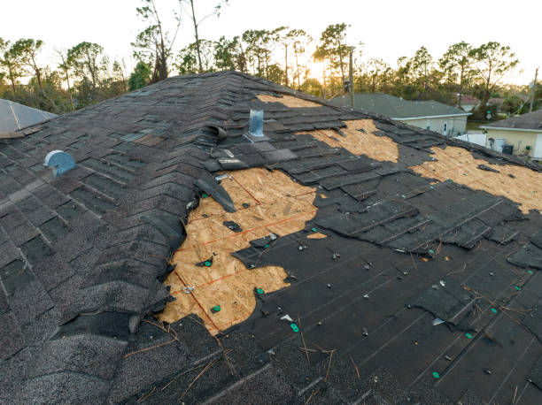 Fast & Reliable Emergency Roof Repairs in East Jordan, MI